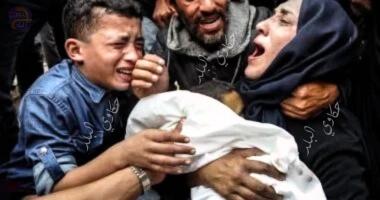 61 شهيدا برصاص الاحتلال فى غزة خلال 24 ساعة.. وعدد الضحايا يرتفع لـ62622