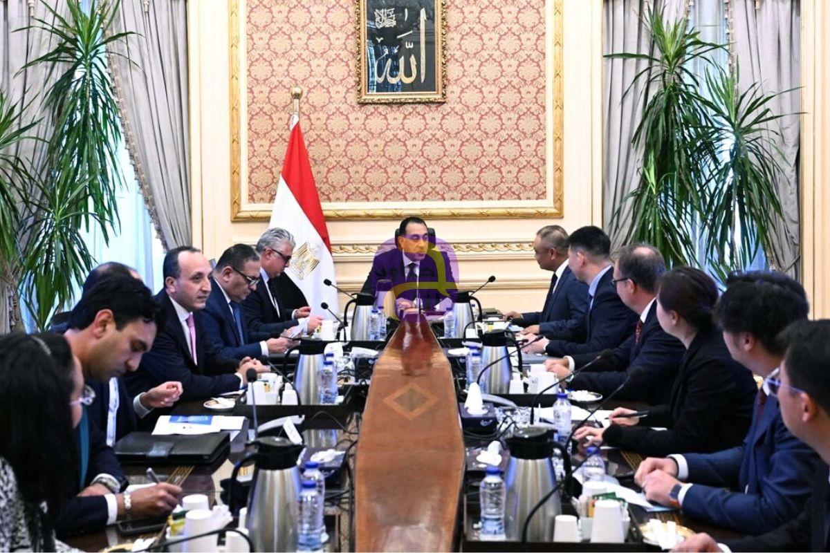 رئيس الوزراء يلتقي برئيس "إيليت سولار" الصينية