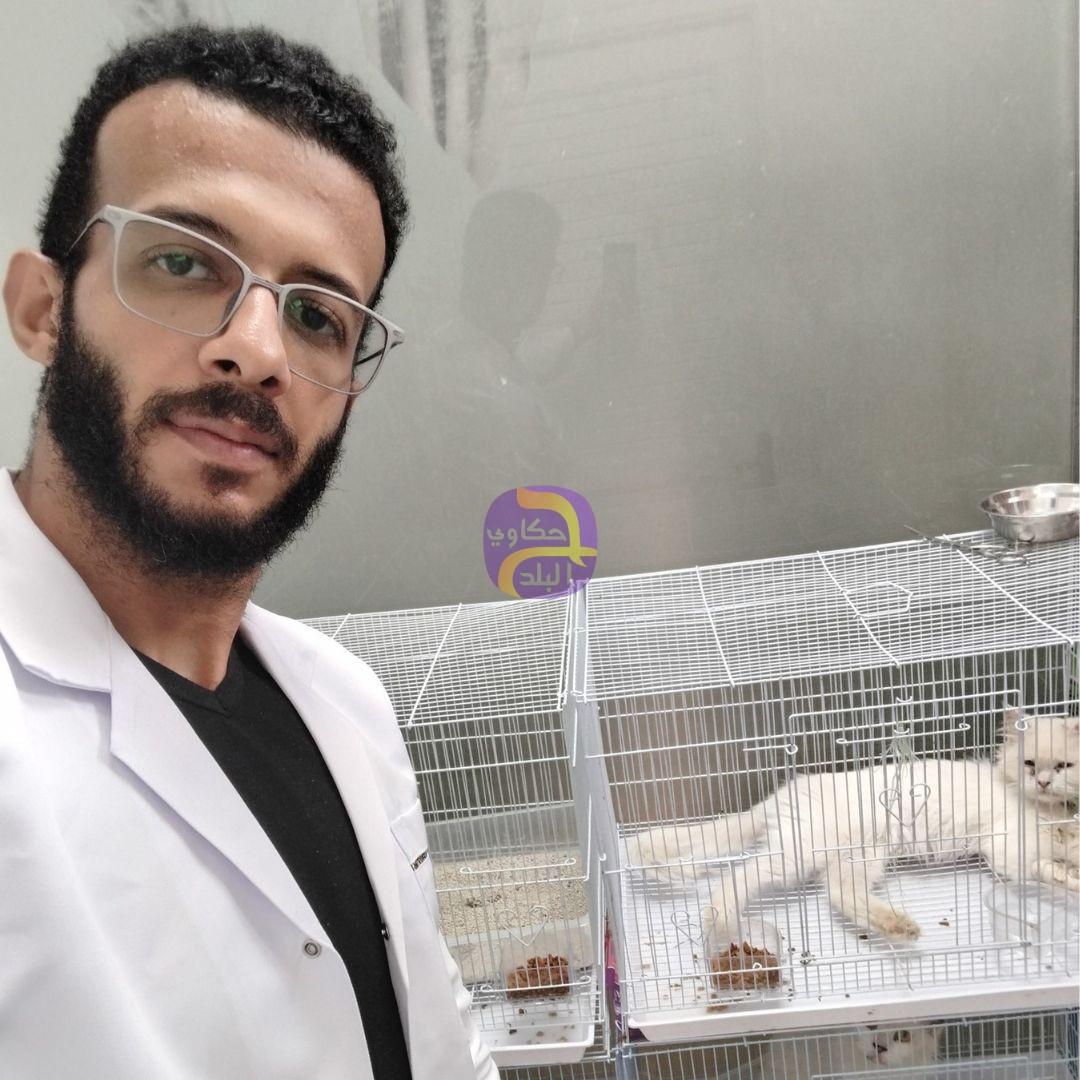 سحر القطط والدارك ويب