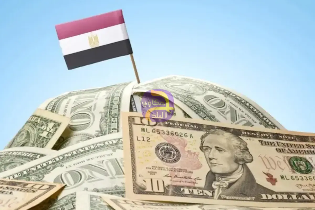 الدين الخارجي لمصر يرتفع 4.5 مليار دولار خلال الربع الثاني من 2025