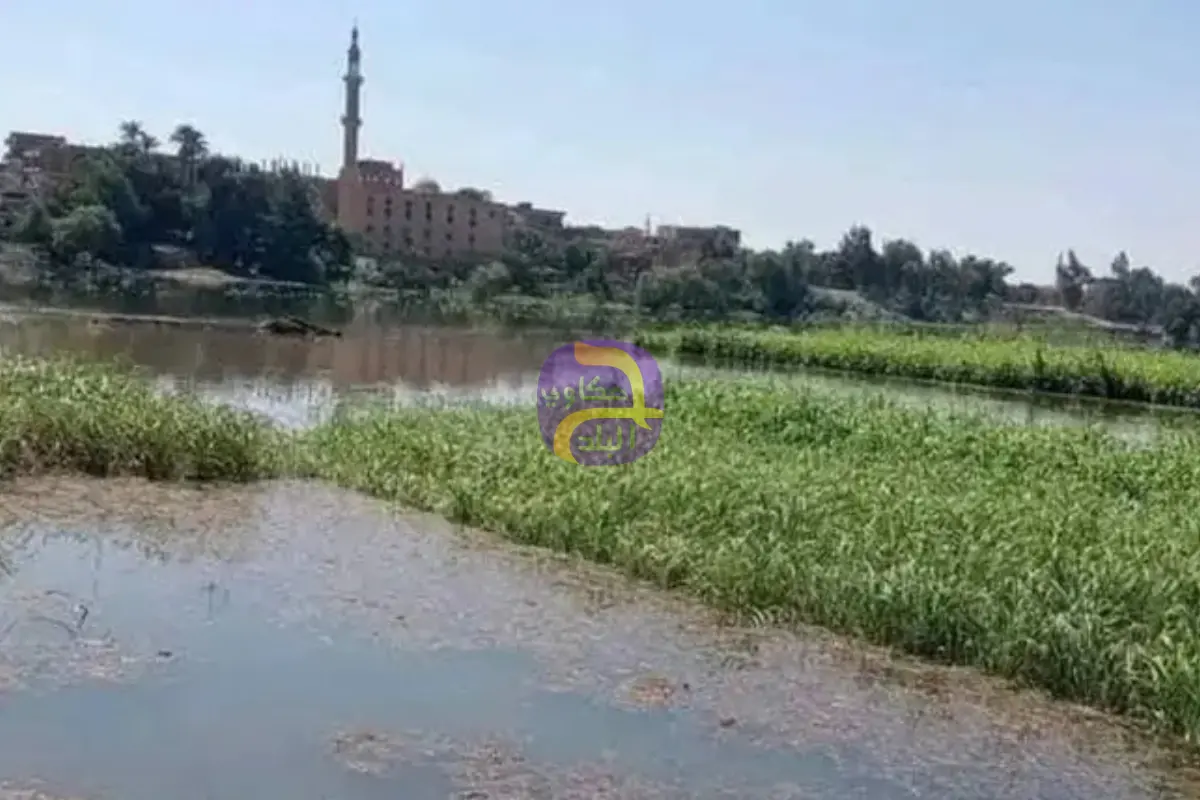 ارتفاع منسوب مياه النيل يهدد 4 محافظات مصرية جديدة