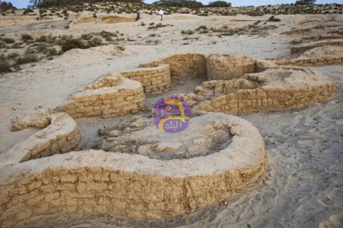 عمرها 3000 عام.. اكتشاف قلعة على الحدود بين مصر وفلسطين
