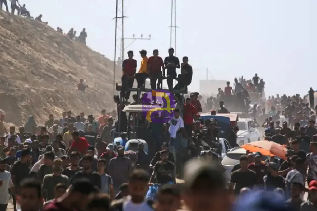 مصر: تسوية القضية الفلسطينية تحقق السلام في المنطقة