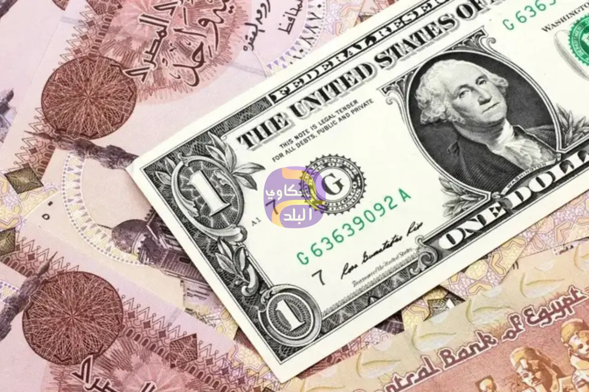 صندوق النقد يكشف توقعاته لسعر صرف الجنيه المصري في 2025 و2026