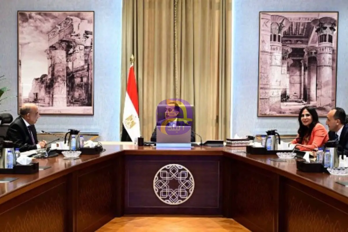 إنشاء جهاز تنفيذي للإشراف على مشروعات المحطات النووية لتوليد الكهرباء لتعزيز أمن الطاقة وتحقيق التحول نحو الطاقة النظيفة