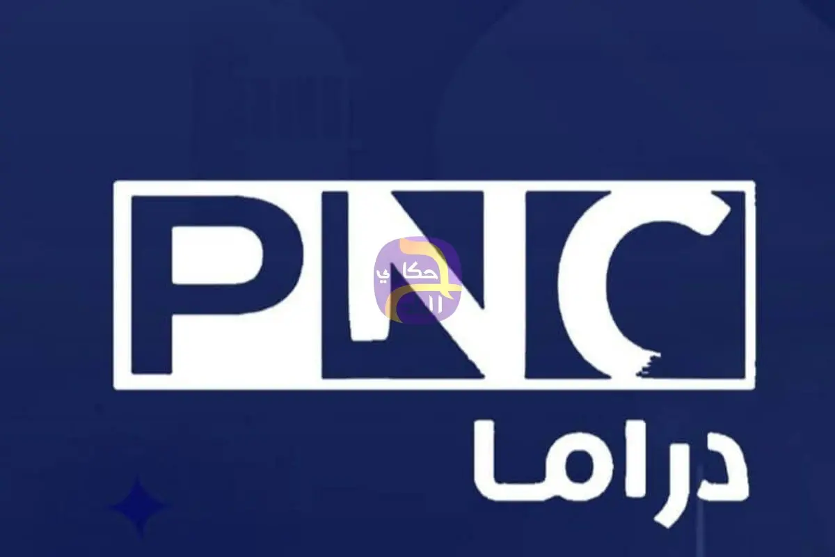 الحجز على أموال شركة بانوراما للإنتاج الإعلامي﻿ في 35 بنكًا تنفيذًا لحكم نهائي صادر عن محكمة القاهرة الاقتصادية