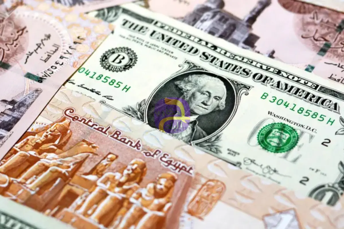 بين 35 و54.. لماذا تتضارب توقعات المؤسسات الدولية لسعر الجنيه المصري؟