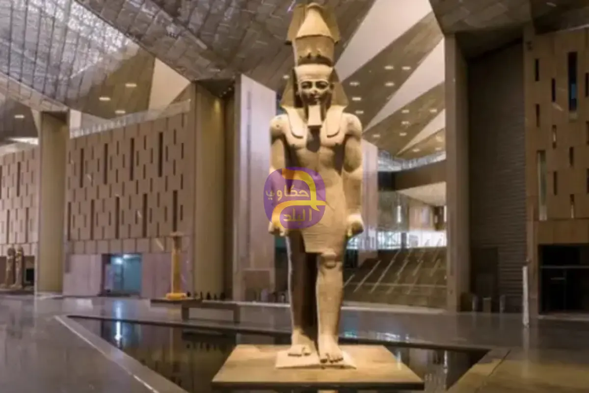 بينهم شريهان.. مشاهير يشاركون في افتتاح المتحف المصري الكبير