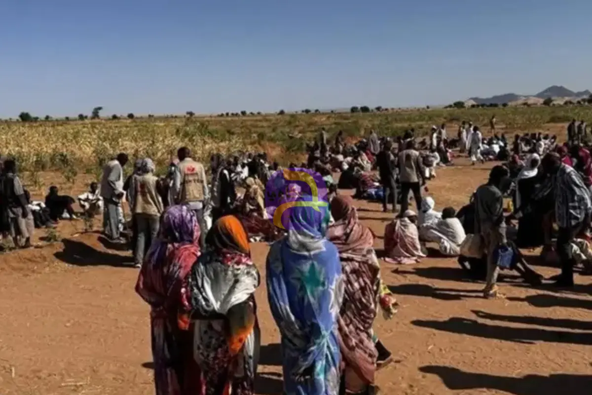 وسط تطورات متسارعة بالسودان.. مصر تؤكد: نرفض مخططات التقسيم