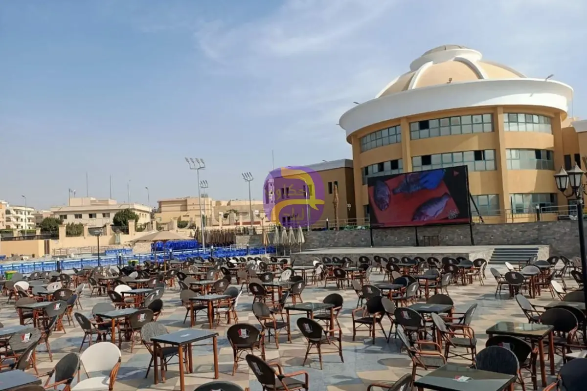 أبرز استعدادات مراكز الشباب والأندية الرياضية بالقليوبية لبث فعاليات افتتاح المتحف الكبير|