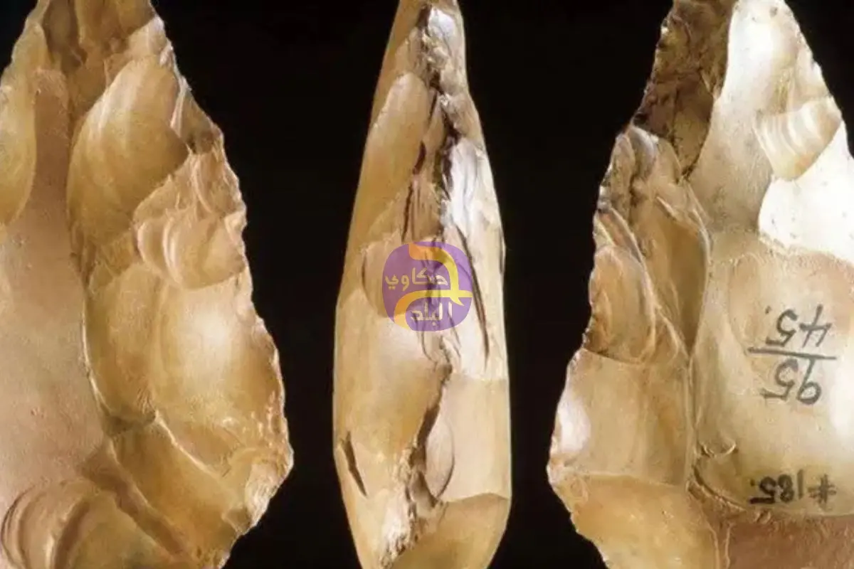 قطعة أثرية عمرها 700 ألف عام تُعرض داخل المتحف المصري الكبير