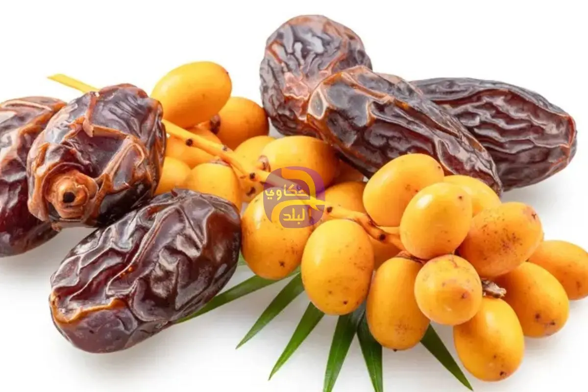 التمر الطازج أم المجفف.. أيهما الأفضل لصحتك؟