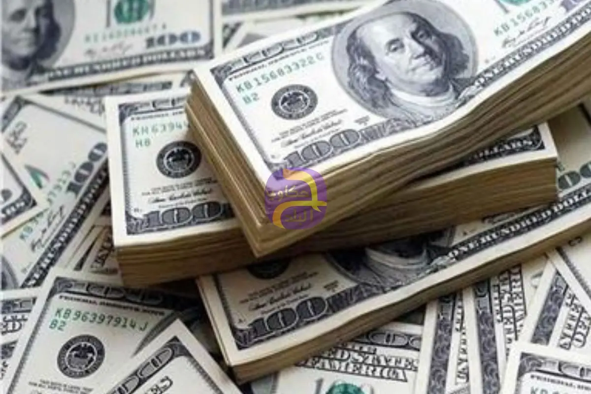 هدوء في سوق الصرف واستقرار سعر الدولار بالبنوك المصرية