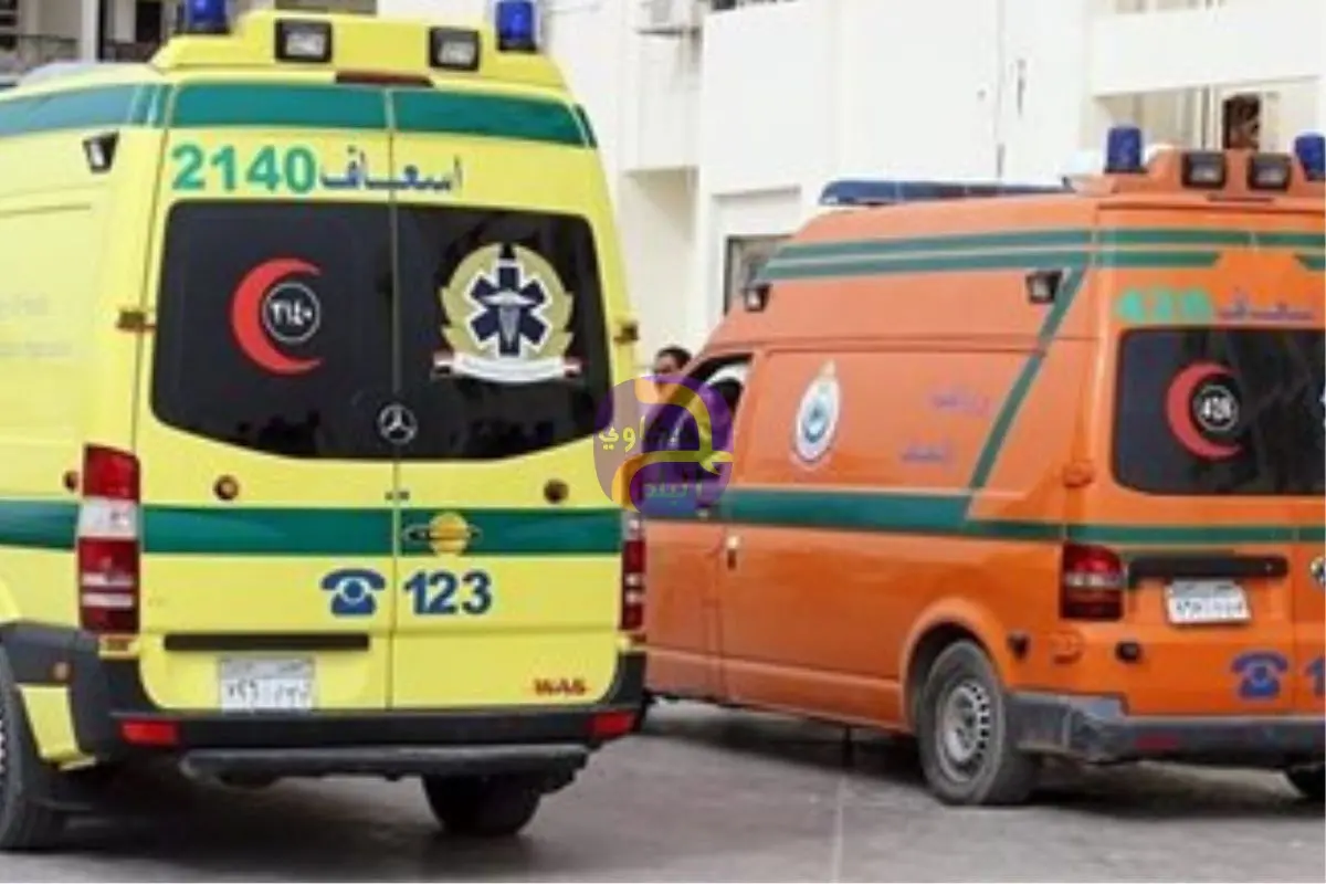 زوج يقتل زوجته بعد شهرين من الزواج بكفر الشيخ