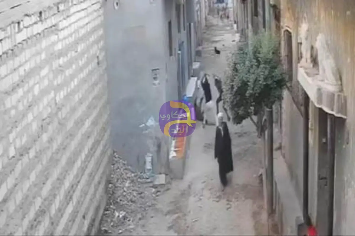 القبض على شقيقين بعد اعتدائهما على شاب بالشوم فى المنيا
