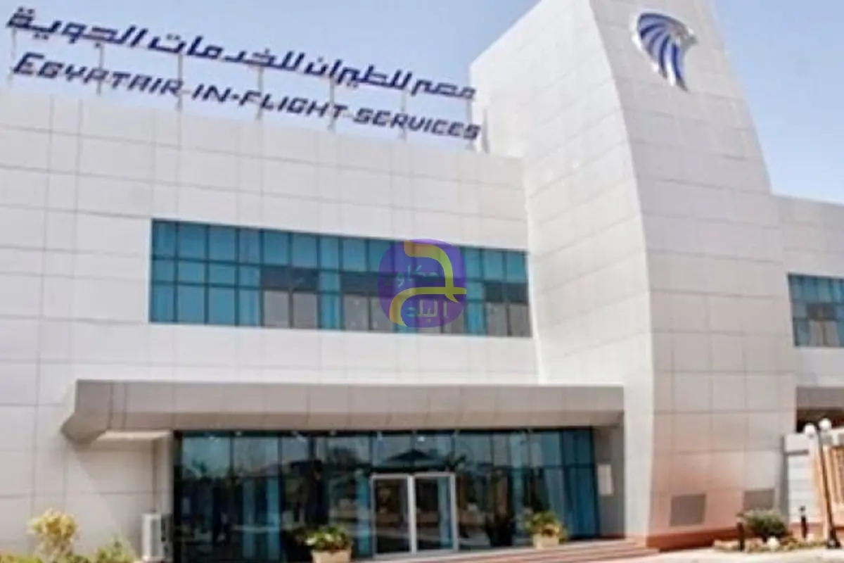 مصر للطيران تطلق حزمة خدمات جديدة لتعزيز كفاءة منظومة الشحن الجوى