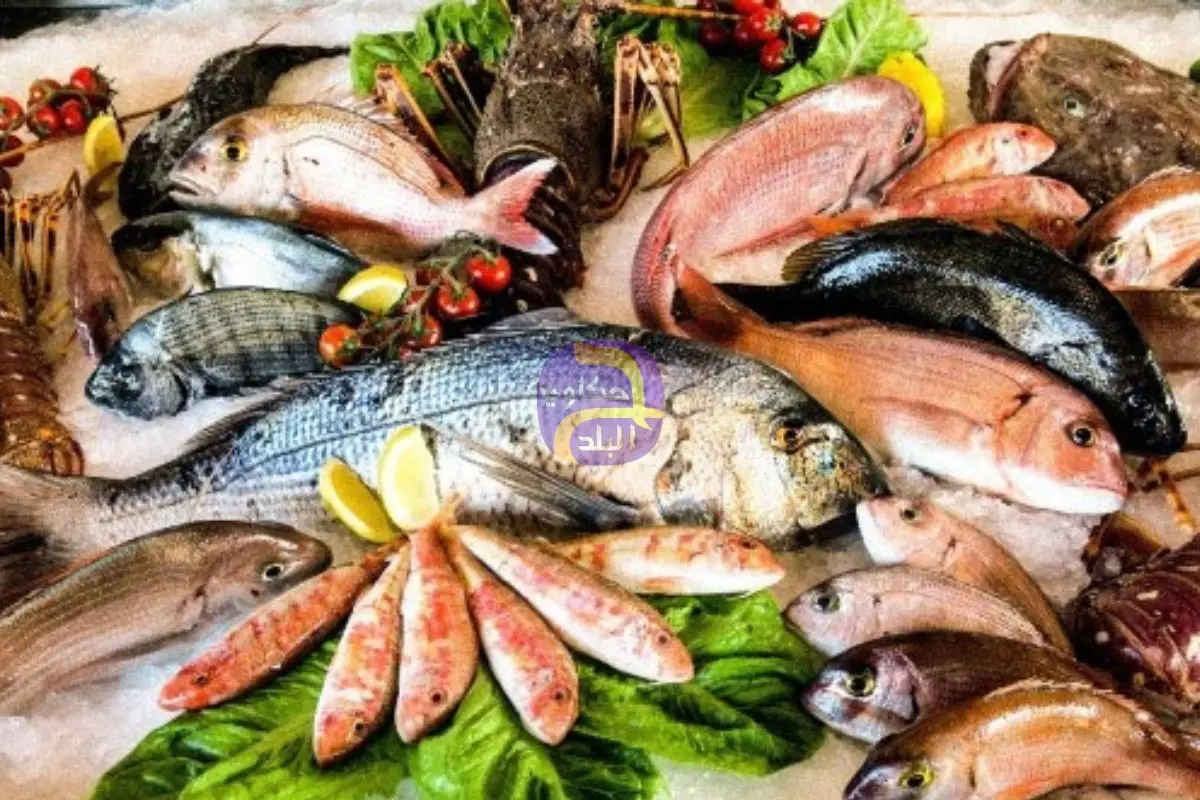 من البصل المجفف إلى الأسماك.. صادرات مصرية تقفز 60% وتحقق 72 مليون دولار