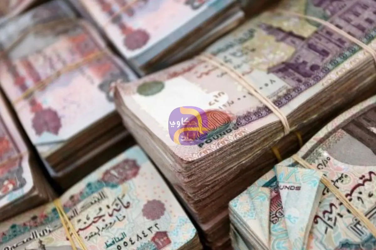 وزارة المالية : 220 مليار جنيه لدعم الفقراء والعلاج المجاني لهم