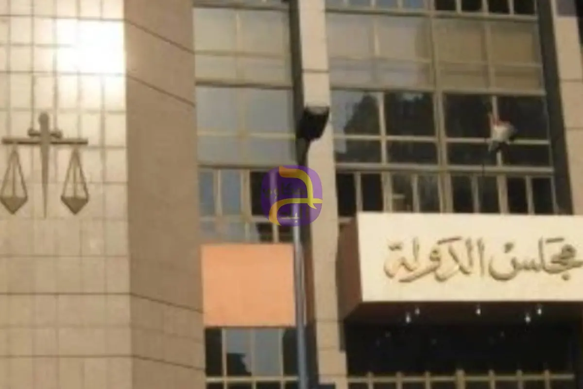 الإدارية العليا تستقبل 29 طعنا على نتيجة الـ19 دائرة الملغاة بالمرحلة الأولى