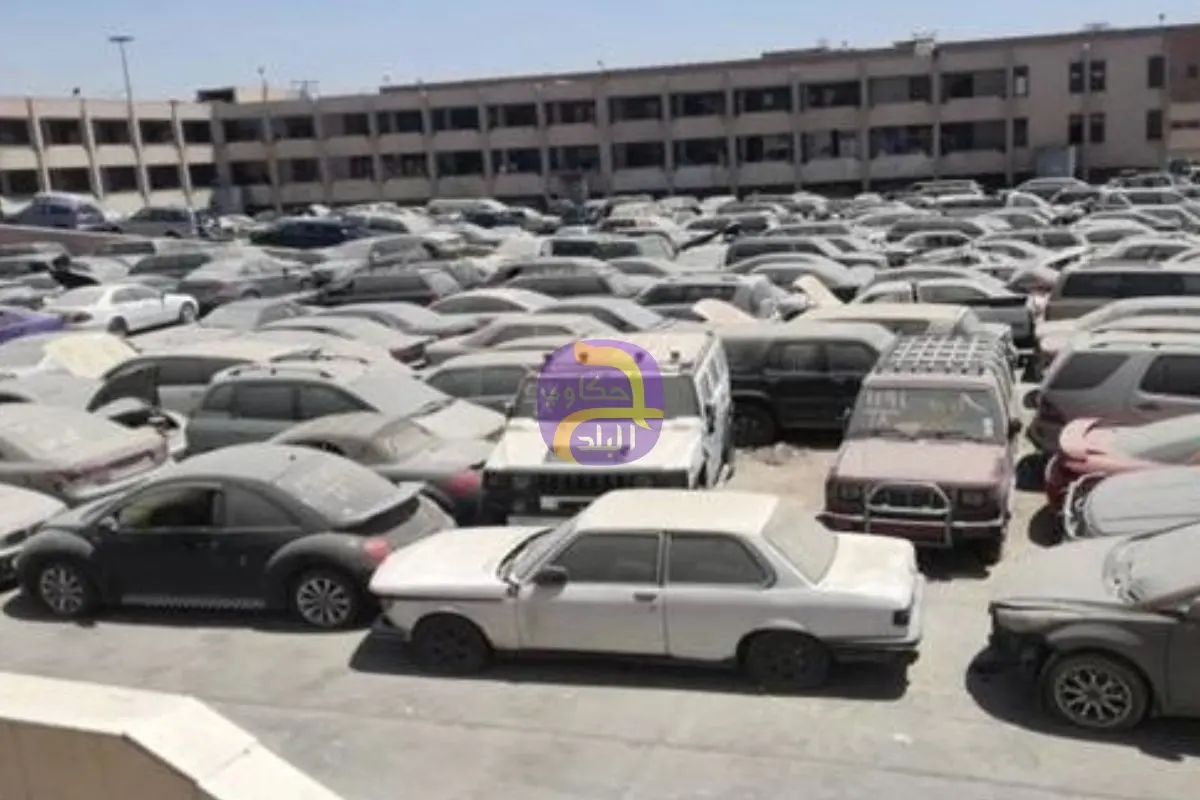 10.4 مليون جنيه حصيلة مزاد سيارات وبضائع جمارك القاهرة