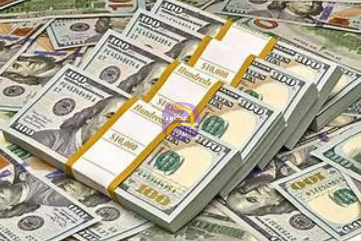 سعر الدولار اليوم 20 ديسمبر 2025.. وصل كام في البنك المركزي؟