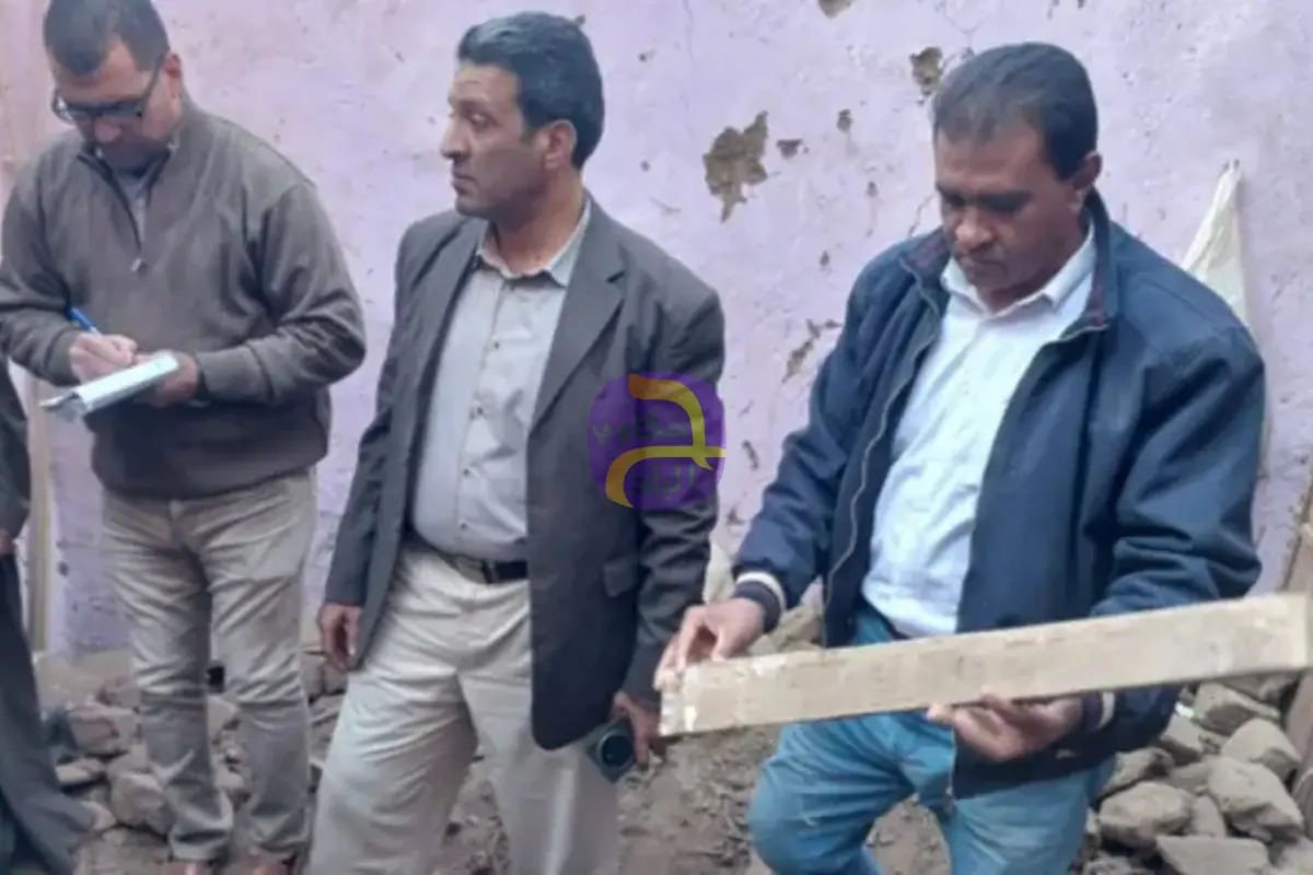 حشرة وراء كارثة انهيارات منازل قرية مصرية