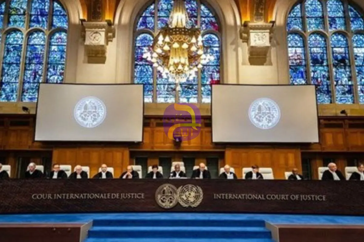 بلجيكا تنضم رسميًا إلى دعوى جنوب إفريقيا ضد إسرائيل أمام محكمة العدل الدولية