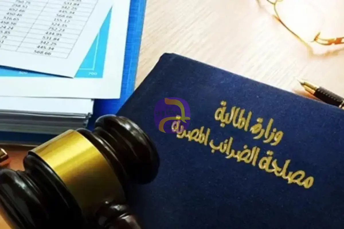 مصر تعلن استراتيجية السياسات الضريبية في هذا التوقيت