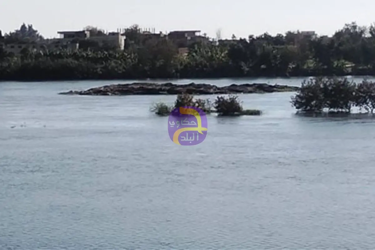 تيار المياه يجرف جزيرة وتستقر بمنتصف نهر النيل في دلهمو بالمنوفية