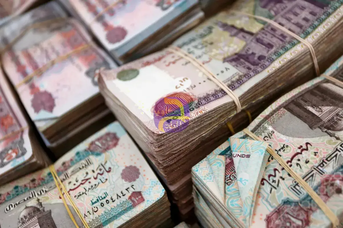 يبدأ استحقاقها 4 يناير.. إلى أين تتجه أموال شهادات الادخار مرتفعة العائد في مصر؟