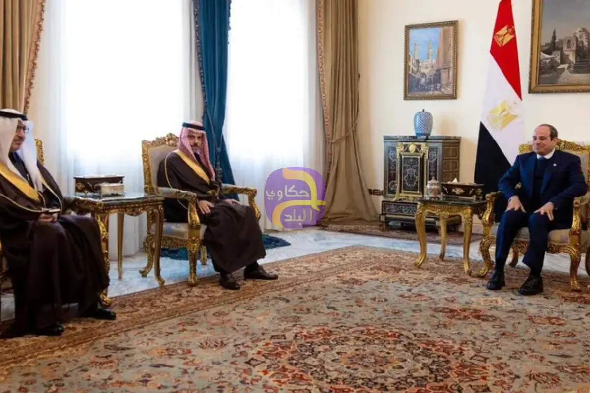 وزير الخارجية السعودي والرئيس المصري يبحثان تطورات المنطقة