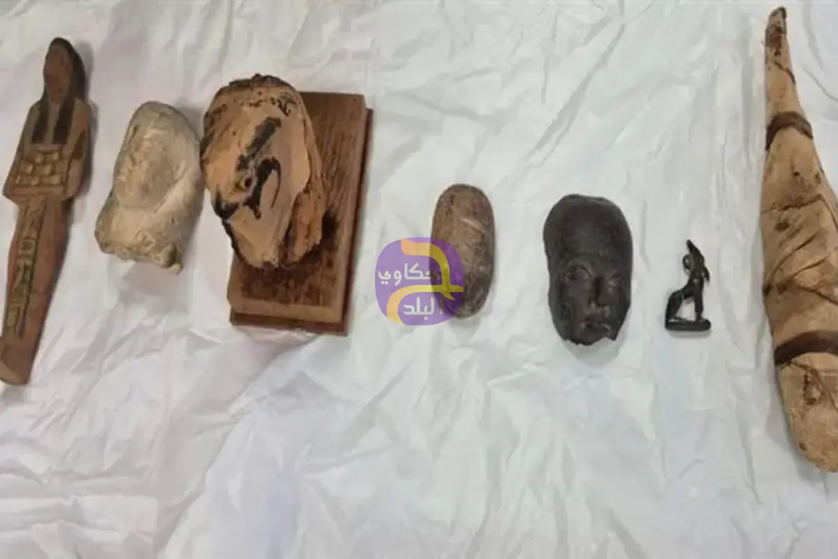 منها رأس صقر وسمكة محنطة.. مصر تسترد 7 قطع أثرية من واشنطن
