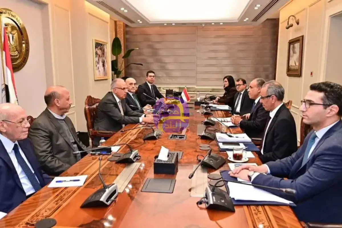 إقليمياً ودولياً.. مصر تتحرك لحماية أمنها المائي ومواجهة إثيوبيا