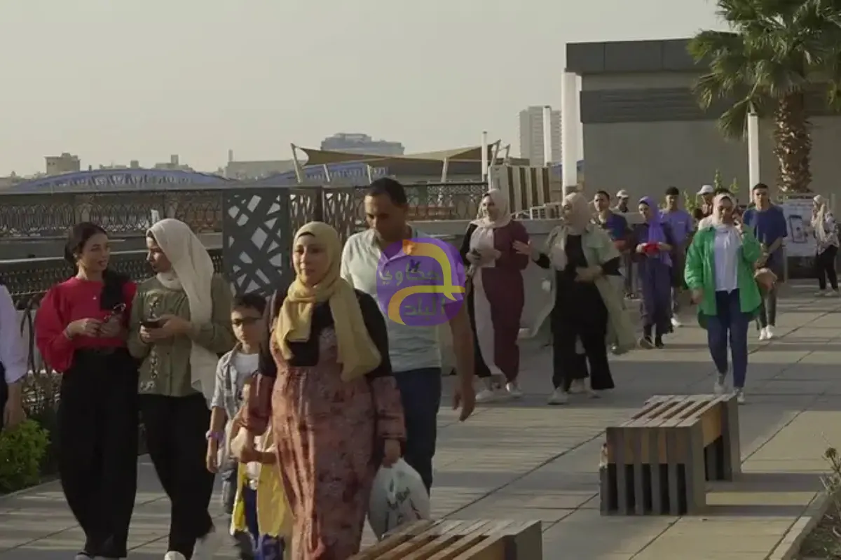 نوة عيد الميلاد تضرب مصر.. ومختصون يحذرون من "البسترة"