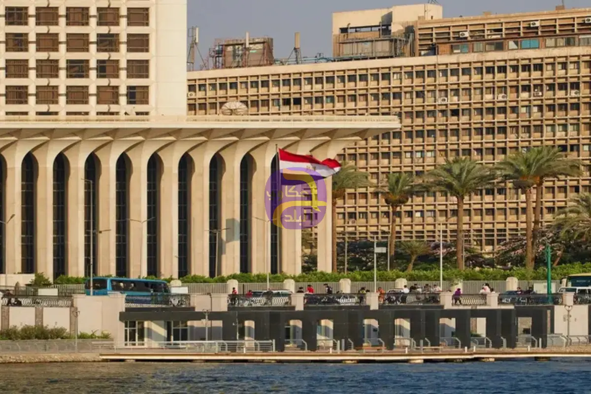 رواتب بالدولار.. ما سر إنشاء 14 جامعة تكنولوجية