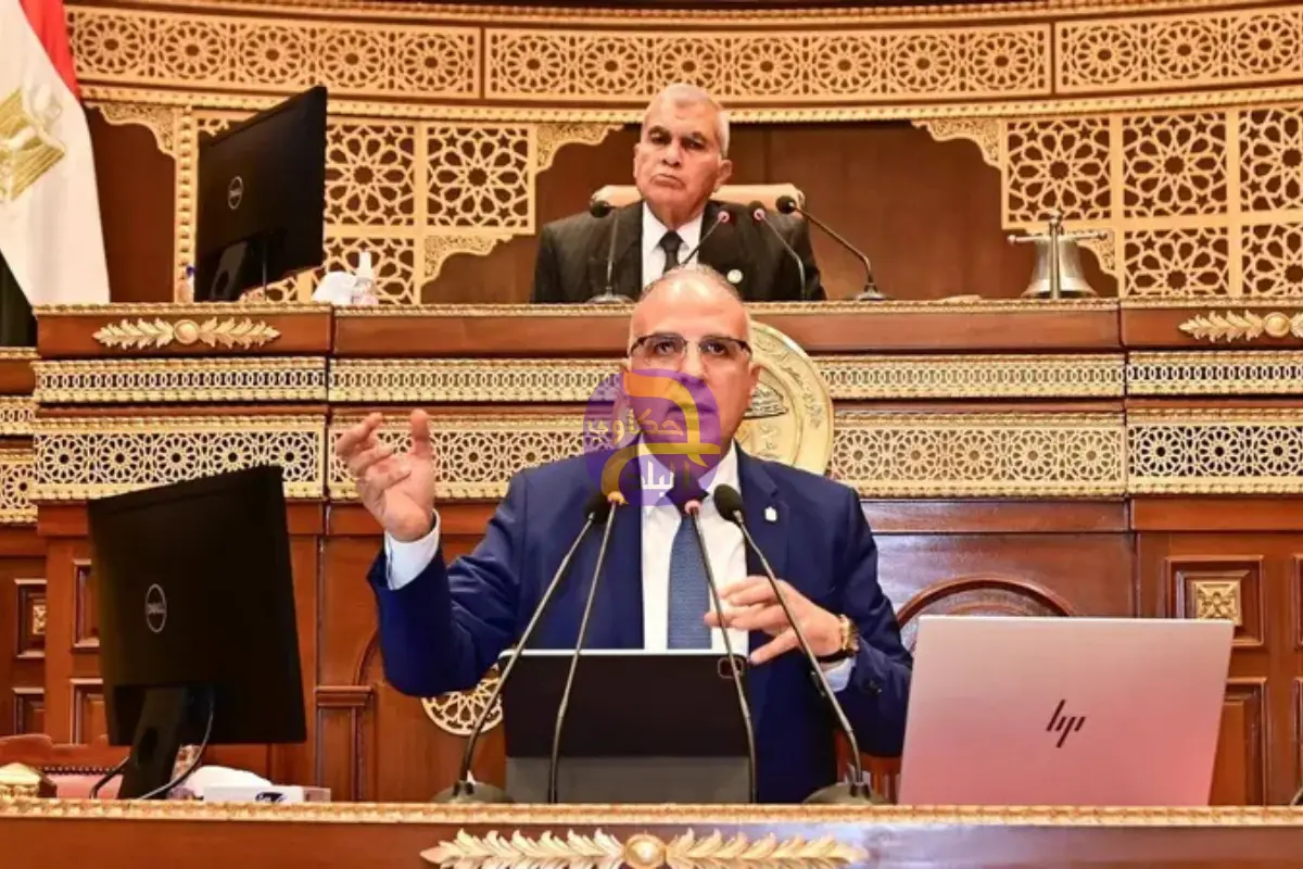 درون وخرائط رقمية للنيل.. مصر تخطط لتوفير 23 مليار متر مياه جديدة