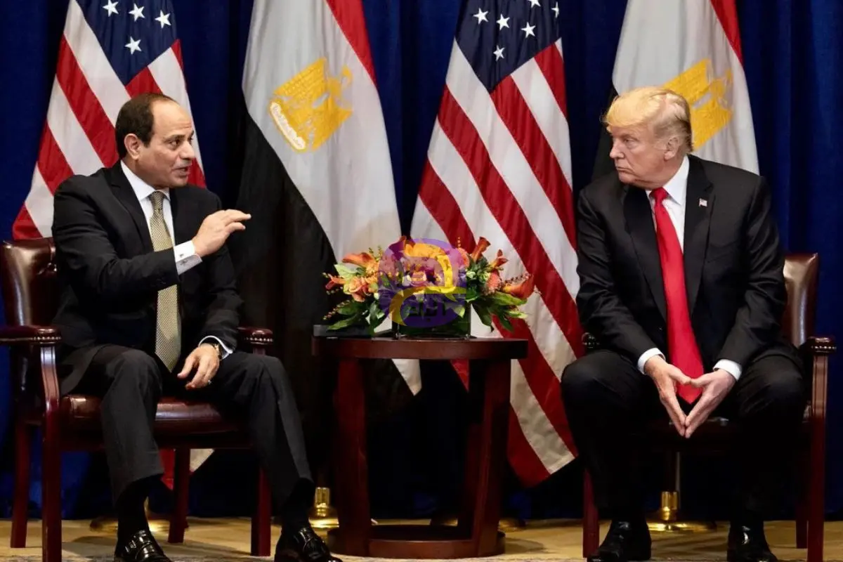 برلمانية: لقاء الرئيس السيسى وترامب فى دافوس يعكس مكانة مصر كقوة إقليمية فاعلة