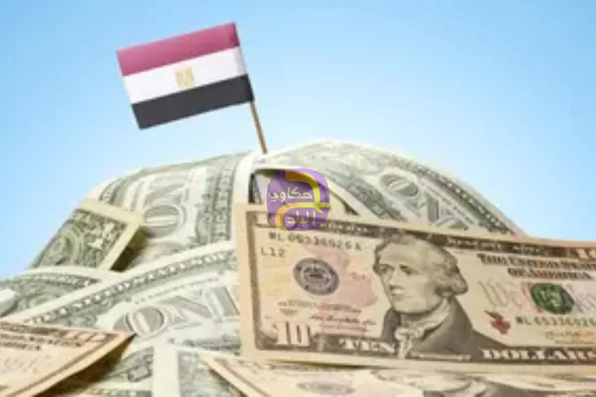 استحقاقات ديون خارجية بـ50.8 مليار دولار حتى سبتمبر 2026