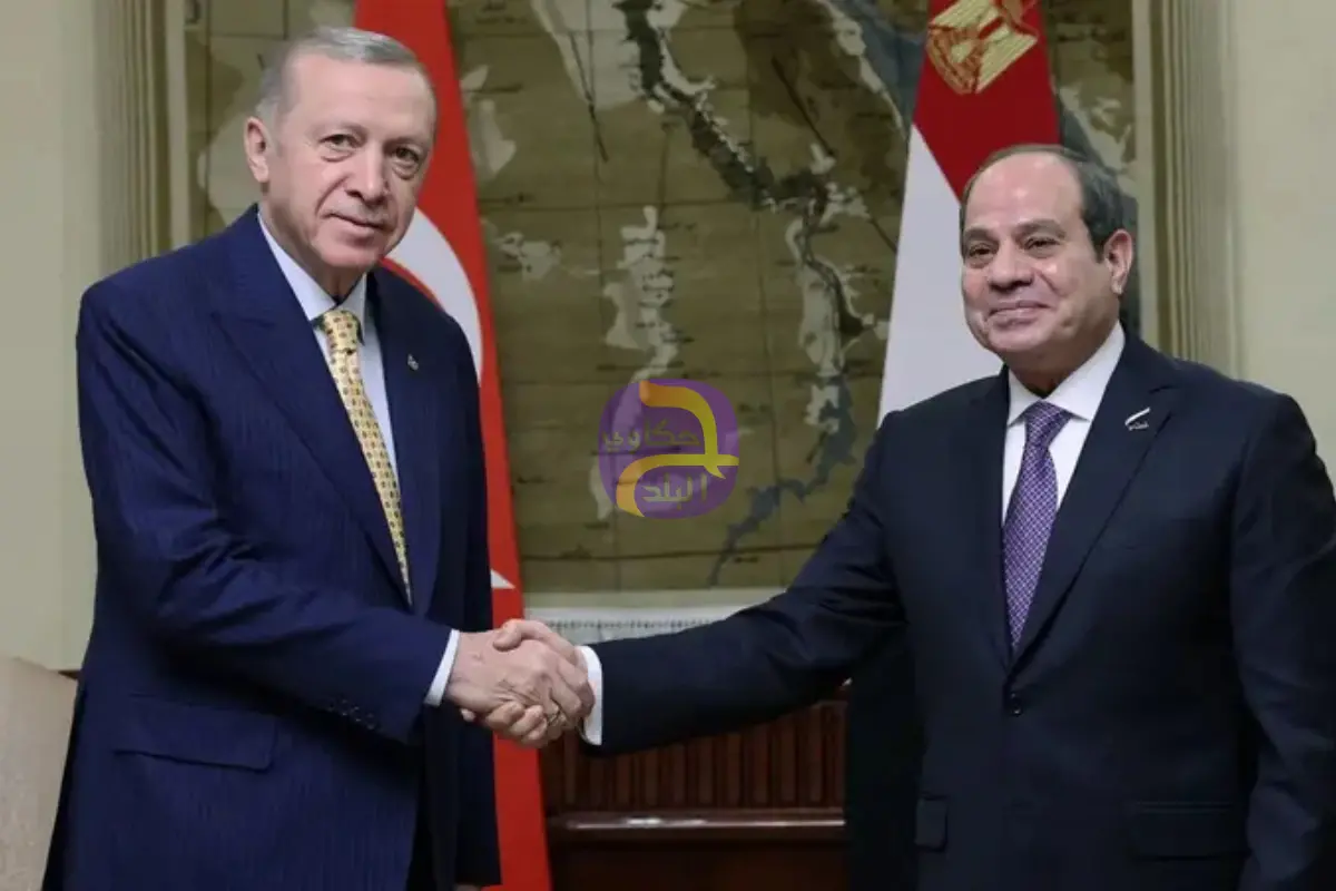 لبحث تطورات المنطقة.. أردوغان يزور مصر