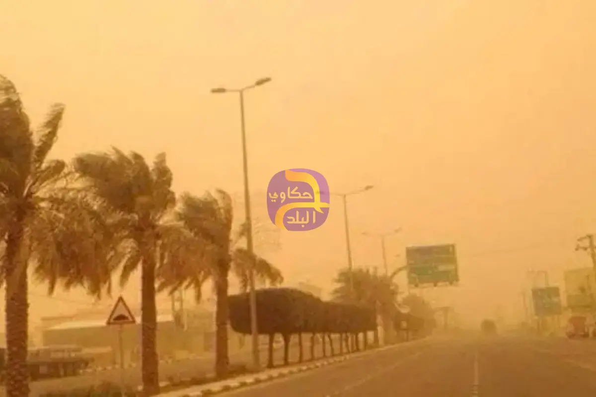 رياح بسرعة 60 كلم تضرب مصر.. ونداء عاجل