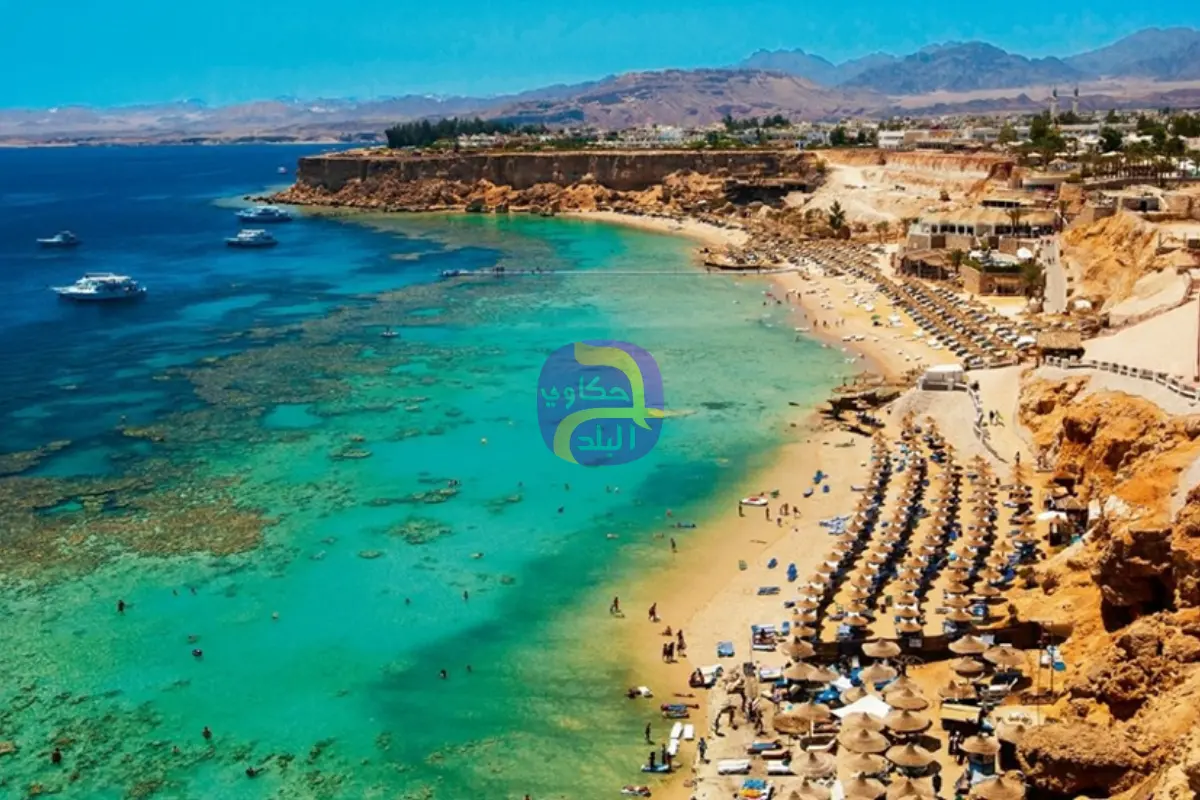السفارة الروسية بالقاهرة تكشف تفاصيل اختفاء 3 سياح روس