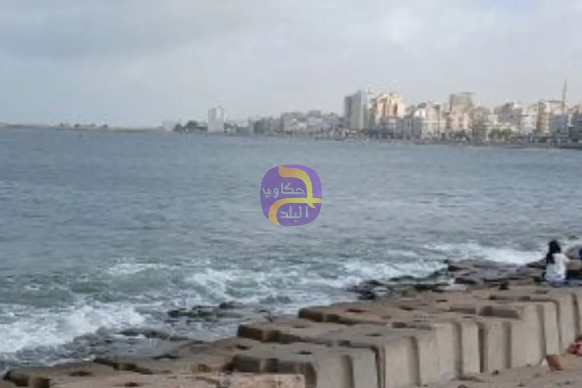 خبير دولى: حماية الشواطئ ليست مجرد تجميل بل هى خط الدفاع الأول عن الدلتا والاستثمارات