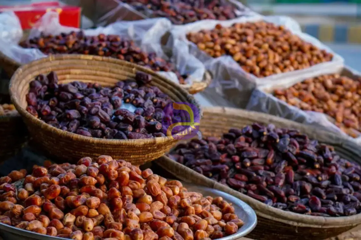 تمور إسرائيلية تفجر بلبلة في مصر.. وبيان يحسم الجدل