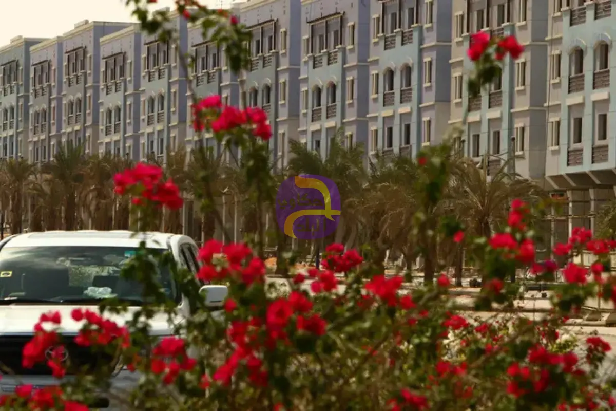 السعودية تطلق "السجل العقاري - أعمال".. القطاع الخاص يدير ثروته العقارية بسهولة