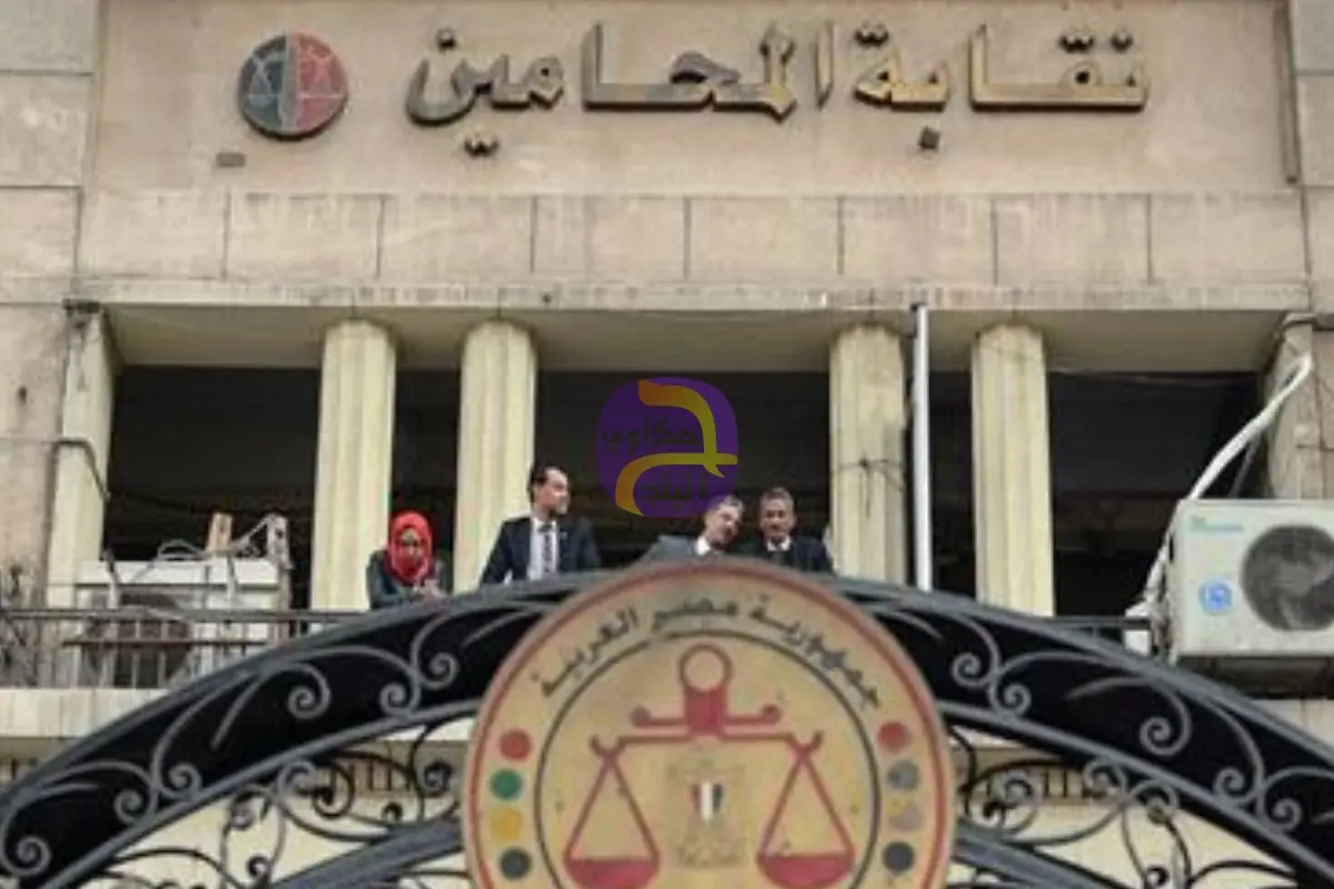 النقابة العامة للمحامين تصدر بيانًا عاجلاً حول انتخابات النقابات الفرعية للمرحلة الثانية