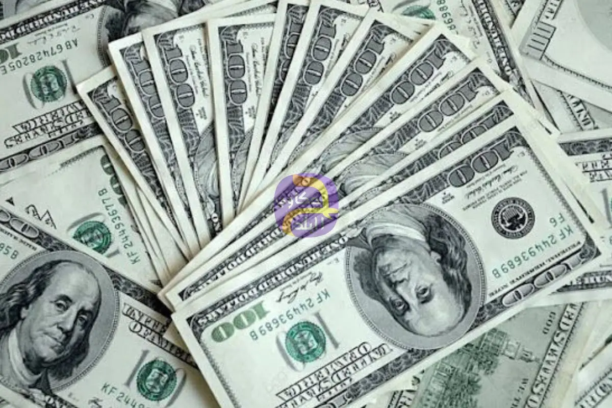 سعر الدولار فى البنك المركزى المصرى 46.84 جنيه للشراء اليوم السبت