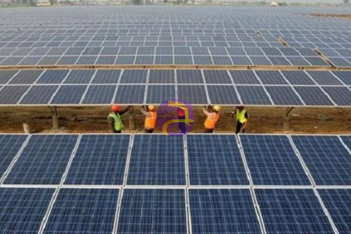 سكاتك النرويجية تعتزم رفع استثماراتها في الطاقة المتجددة بمصر لـ 5 مليارات دولار