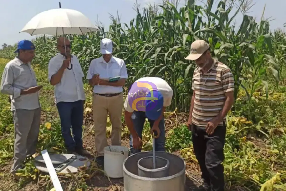 لا فقدان لأية قطرة مياه.. مصر تواجه سد النهضة بالتجربة الإسبانية