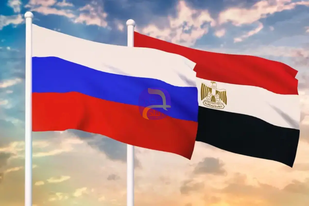 روسيا ومصر تمهدان لتأسيس بورصة حبوب ضمن إطار "بريكس"