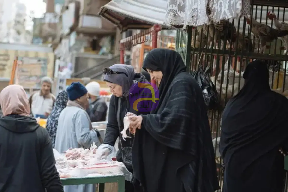 توقعات بتراجع التضخم في مصر إلى 11.7% خلال يناير